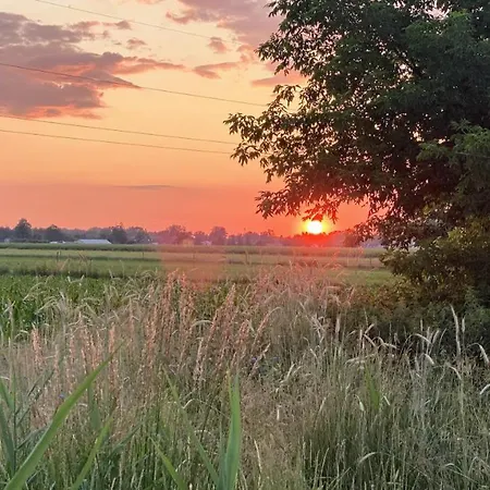 Siedlisko Pod Kasztanem * Garwolin