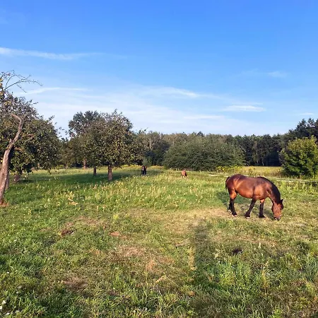 Siedlisko Pod Kasztanem Holiday home