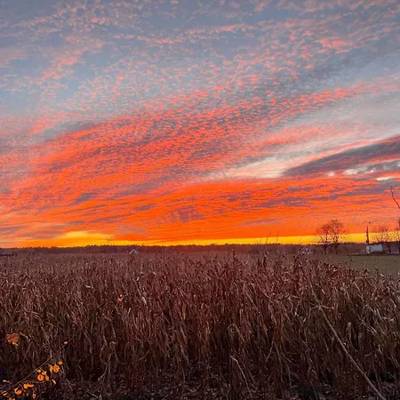 Siedlisko Pod Kasztanem Dom wakacyjny *