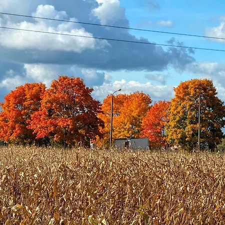 Siedlisko Pod Kasztanem Dom wakacyjny