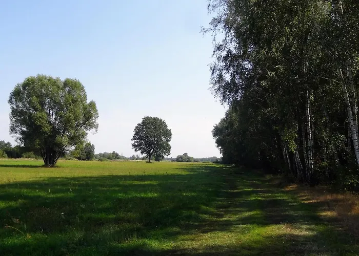 Hébergement de vacances Siedlisko Pod Kasztanem