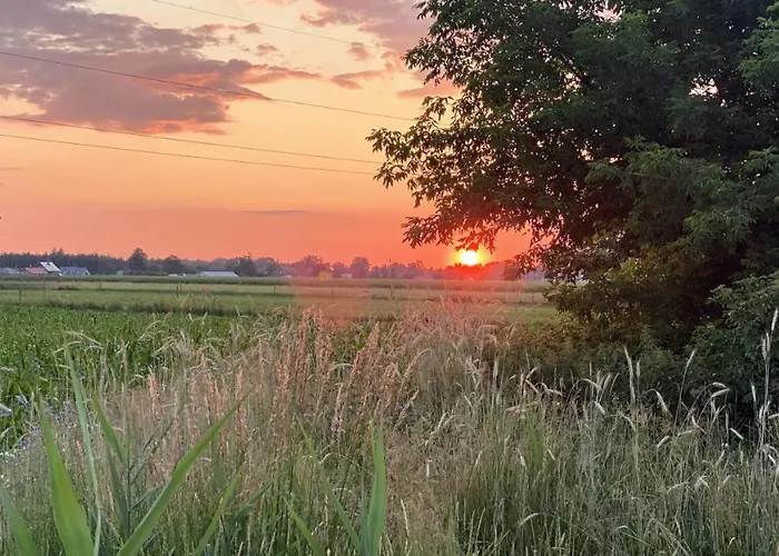 Siedlisko Pod Kasztanem * Garwolin