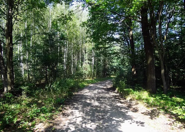 Siedlisko Pod Kasztanem Hébergement de vacances Garwolin