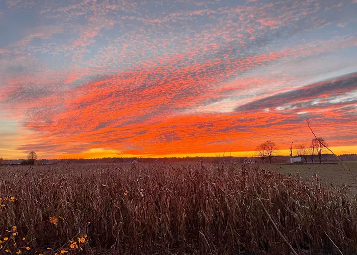 Siedlisko Pod Kasztanem Hébergement de vacances *