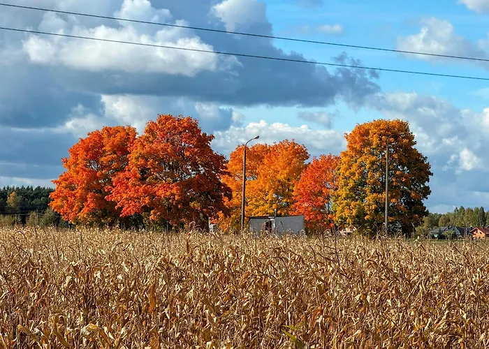 Siedlisko Pod Kasztanem Hébergement de vacances